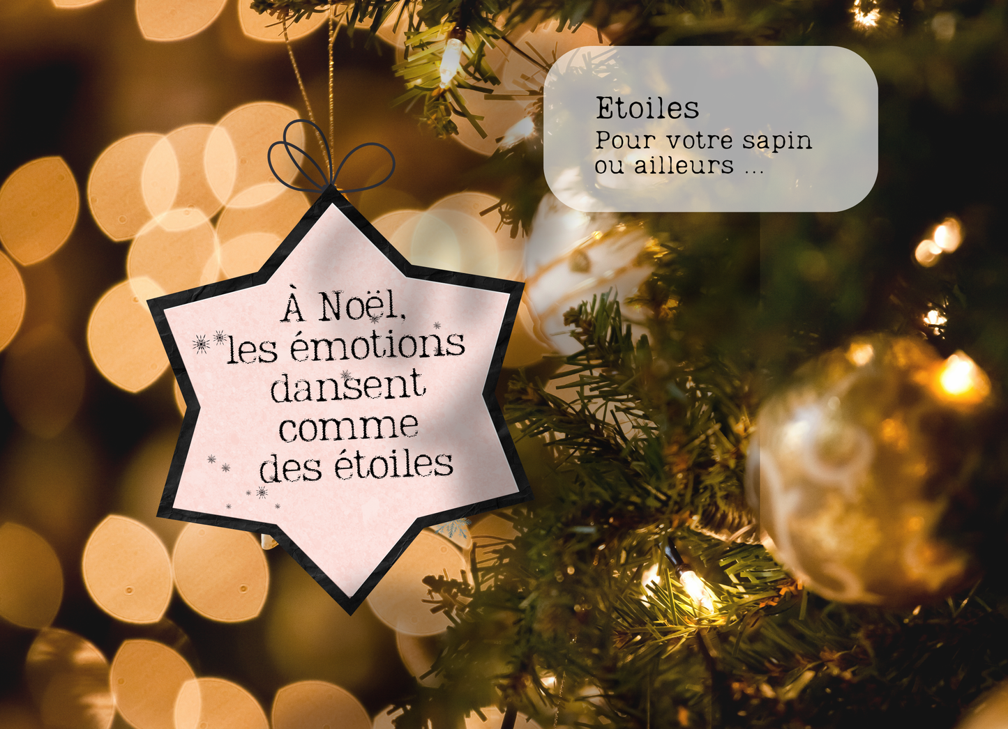 Votre collection "LES CITATIONS"